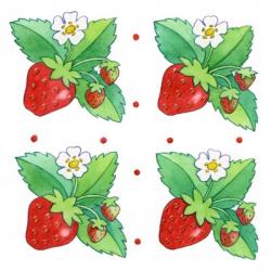Strawberries Four | Obraz na stenu