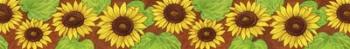 Sunflower border | Obraz na stenu