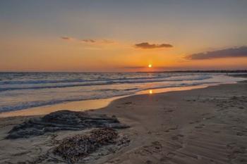 Beach Sunset | Obraz na stenu