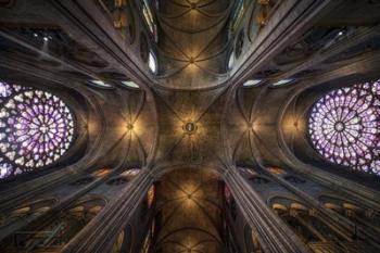 L Notre Dame  II | Obraz na stenu