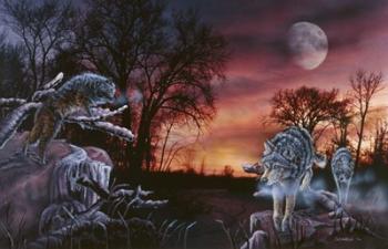 Moonlight Trackers | Obraz na stenu