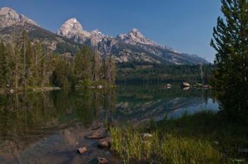 Tetons Tagert Lake | Obraz na stenu