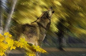 Howling Wolf | Obraz na stenu
