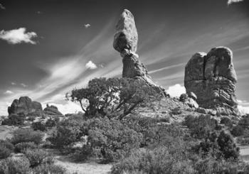 High Rock And Tree | Obraz na stenu