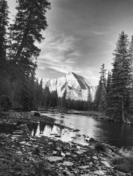 Trees And Mountains White Vertical | Obraz na stenu