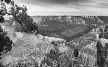 Grand Canyon 1 | Obraz na stenu