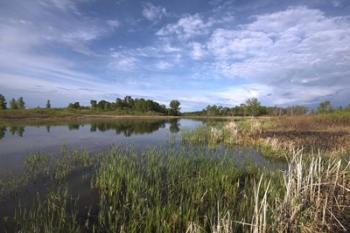 Blue Sky And Lake Landscape | Obraz na stenu