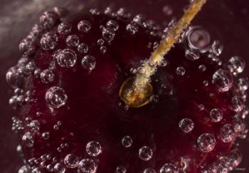 Marroon Fruit Closeup With Raindrops I | Obraz na stenu