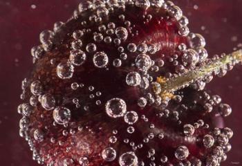 Marroon Fruit Closeup With Raindrops II | Obraz na stenu