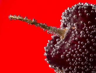 Cherry Covered In Water Drops II | Obraz na stenu