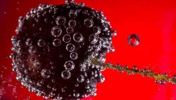 Cherry Covered In Water Drops V | Obraz na stenu