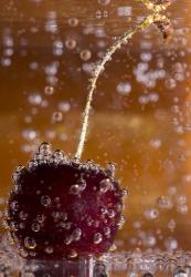 Cherry Underwater Covered In Water Drops I | Obraz na stenu