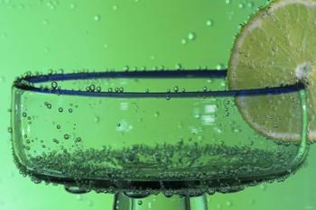 Margarita Glass And Lemon Closeup II | Obraz na stenu