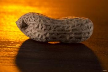 Peanut On Bar | Obraz na stenu