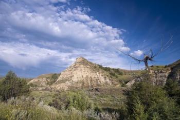 Mountain And Green Field | Obraz na stenu