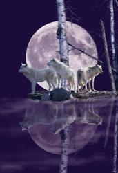 Moonset Point | Obraz na stenu