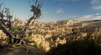 Bryce Canyon E | Obraz na stenu