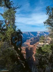 Grand Canyon E | Obraz na stenu