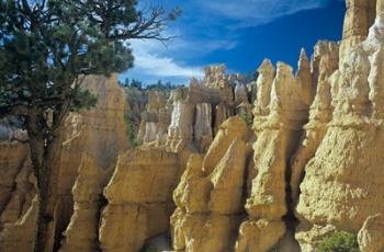 Bryce Canyon F | Obraz na stenu