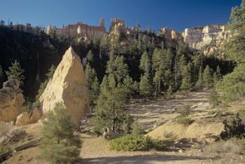 Bryce Canyon I | Obraz na stenu