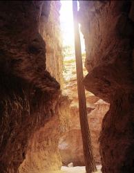 Bryce Canyon M | Obraz na stenu