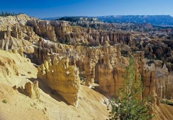 Bryce Canyon N | Obraz na stenu