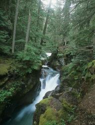 Daytime Falls And Mossy Greenery | Obraz na stenu