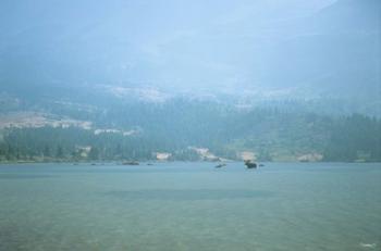 Misty Lake Swim | Obraz na stenu