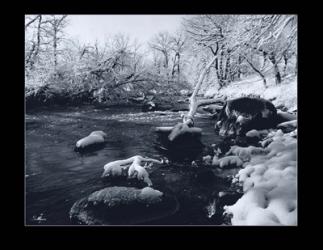 Buffalo River Snow | Obraz na stenu