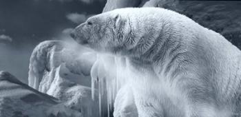 Arctic Frost | Obraz na stenu