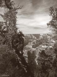 Sepia Grand Canyon 2 | Obraz na stenu