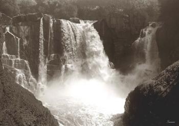 Sepia North Shore Waterfall | Obraz na stenu