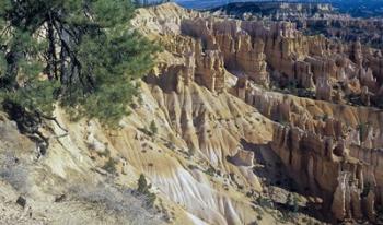 Bryce Canyon 3 | Obraz na stenu