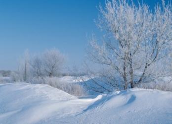 Snow Terrain II | Obraz na stenu