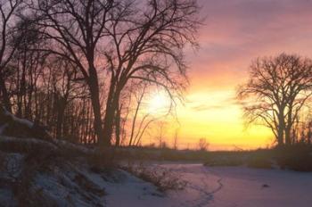 Sunset And Tree Silhouettes In Snow II | Obraz na stenu