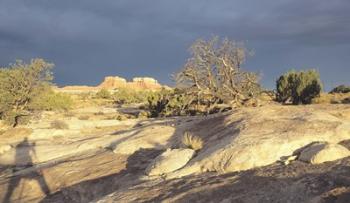 Canyonland 14 | Obraz na stenu