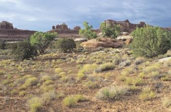 Canyonland 15 | Obraz na stenu