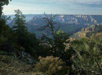 Grand Canyon 3 | Obraz na stenu