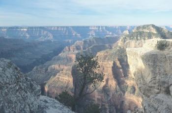 Grand Canyon 5 | Obraz na stenu