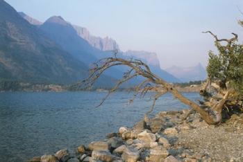 Glacier National Park 13 | Obraz na stenu