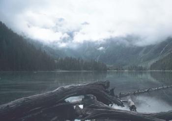 Glacier National Park Lake 2 | Obraz na stenu