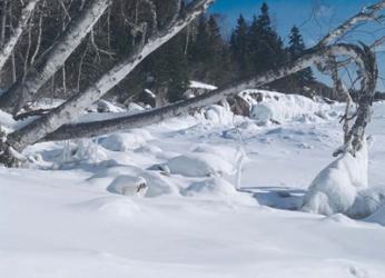 Lake Superior Winter Snow 25 | Obraz na stenu