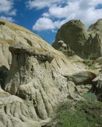 Theodore Roosevelt National Park 32 | Obraz na stenu