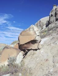 Theodore Roosevelt National Park 30 | Obraz na stenu