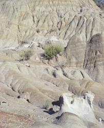 Theodore Roosevelt National Park 29 | Obraz na stenu