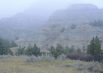 Theodore Roosevelt National Park 10 | Obraz na stenu