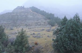 Theodore Roosevelt National Park 11 | Obraz na stenu