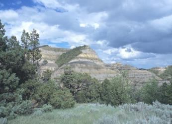 Theodore Roosevelt National Park 1 | Obraz na stenu