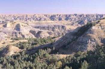 Theodore Roosevelt National Park 51 | Obraz na stenu