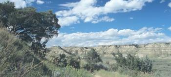 Theodore Roosevelt National Park 9 | Obraz na stenu